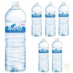 스토어-다유 롯데산림수소품 녹차 롯데 산림수 아이시스 6펫 : 스토어-다유