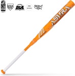 마루치 아수라 한정판 : 사비로