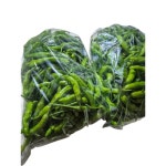 국산 진주 고추, 꽈리고추 (500g), 2묶음 : 공주 유통