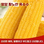 옥수수몰드 A. 1760g, A. 패키지-노란 찰옥수수 220g 이상 8스틱 패키지 권장 : 하바픽