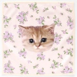 폴앤조 마이크로파이버 안경닦이 손수건 누네트와 작은꽃 아이보리 25cm 000288-0001-03 : 윈윈재팬