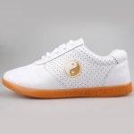 무술화 태극권 격투기 신발 태권도 합기도 권투화 우슈 복싱화 운동화 가죽 : 이지딜홈