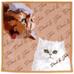 폴앤조 마이크로파이버 안경닦이 손수건 누네트와 집시 베이지 25cm 000288-0002-02 : 윈윈재팬