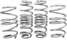 화이트라인 WSK-TES001 전면 및 후면 코일 스프링 하강 키트 Tesla 17-25 3 18-23 20-213과 호환됩니다 : 군주한양