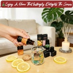 향기 에센셜 오일 세트 12개 피부용 아로마테라피 디퓨저 홈 케어 세탁 캔들 만들기 - 릴리 로즈 라벤더 녹차 레몬 재스민 프리지아 화이트 티... 