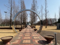 [깨비의숲마을][걸포중앙공원] 경기 김포 숲체험 어린이 봄 유아 초등 자연 곤충 주말 체험 학습 : 아이고고