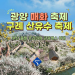 [부산출발] 2026광양 매화축제 구례 산수유축제 테마여행 관광버스여행 : 가야고속관광투어