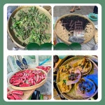 대나무 원형 바구니 수제 채반 과일 간식 보관용 : 물건너ON