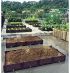 2M 대형 조립식 텃밭 상자 화분 대형플랜터 야외정원 사각화분 가드닝 : 인포커넥션