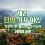 제천 청풍호 힐링 기차여행 의림지·청풍문화재단지·케이블카(청량리출발) : 그린데이투어
