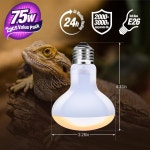 레오테라 75W 파충류 베이싱 스팟 전구(2팩) 중형 20~40갤런 테라리움용 두꺼운 유리 UVA 열 램프 어린 수염 용에게 이상적 블루 텅 스킹크... 