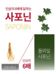 바이오큐브 케이키퍼 더블유119플러스 독소 염증배출 항염증조성물 돌외 신장디톡스 : 수현유통