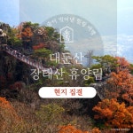 대둔산 도립공원 구름다리 장태산 숲길 당일코스 (대전출발) : 그린데이투어