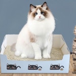 접이식 일회용 화장실 이동식 외출용 화장실 야외용 : 타이거 사무실 현장 교육용