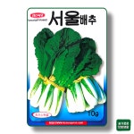 서울배추 씨앗 10g 경신씨앗 씨 종자 모종 작물 텃밭 채소 주말농장 : 슬기로운농약사