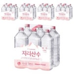 (1+1) 지리산수 무라벨, 2L, 30개 2Set : 메이드인해피
