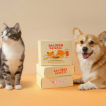 스푼풀 고양이 오메가3 영양제  220mg 126캡슐, 1개 : 스푼풀코리아spoonful