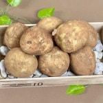 집반찬 조림용 감자 흙 요리재료 흙묻은감자 신선식품 식재료 영양보충식단 산지배송 : 태봉리2