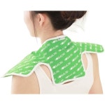 11056259 어깨 보호대 아대 근육 인대 숄더 후지쇼 Fujisho NEW 핫쿨 패드 그린 목·어깨용 고무를 사용하지 않아 냄새가 적은 타입 f9896... 