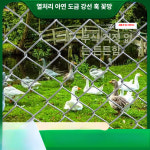 아연도금철망 스텐철망 고라니 야생동물 보호 네트 1.2m 8홀 10m 3mm : 육알테