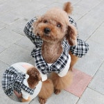 코코아허니 B0FD체크벨크로원피스 강아지원피스 반려견원피스 애견옷 강아지드레스 소형견의류 : 슬기로운멍냥
