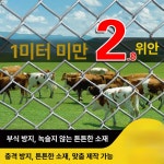 아연도금철망 스텐철망 고라니 펜스 울타리망 와이어 아연도금 1.2m 8홀 30m 2mm : 용이승천상회