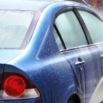 정원 세차장 물뿌리기 자동 감김 릴 방식 긴 길이 호스 다양한 분사 패턴 조절 : 나우바움