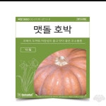 콩킹팜 채소 맷돌호박 씨앗 10립 텃밭가꾸기 노지재배 주말농장 : 콩킹쇼핑