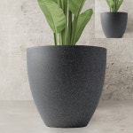 법무사세화분사무소 | [픽앤] 선거사무소개소식화분 인테리어 화분 38x35cm 블랙 : 공오상회