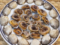 [보성 여자만] 당일조업 벌교 새꼬막 3kg (1kg 130미 내외) : The Class 수산
