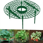 식물 딸기 받침대 재배 과일 받침대 농장 용품 : 좋은 우리집