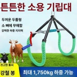 소 기립대 소뼈 보호 인공수정 보조스탠드 축산기자재 번식 축산 말 돼지 양 한우 축사 : 브릿지글로벌샵