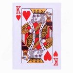 보드게임 파티용 홀덤 플라스틱 오락실 포커카드 칩 : 몰왕샵