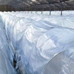 폴리에틸렌 농업용 비닐 하우스 농사용 비닐 원예용 농장 : 여름피서모자바지티셔츠