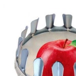 과수원 과일수확 도구 헤드 사과 감 채집 따기 농장 정원 과수 수확 : 정춘에몰