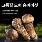 버섯 모형 조형물 장식 소품 모조 식품 모델 송이버섯 4-5cm : 점보 상점