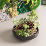 스칸디아모스 공기정화식물 센터피스 솔방울 옹기 수반 set 12cm 인테리어 천연 이끼 장식 소품 테이블 : 플라워트리