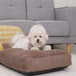 빅조이 애견 쇼파베드 강아지 침대 애완동물 : 빅조이 추천샵