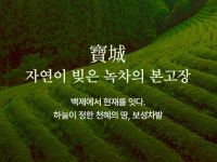 고급다기세트 보성녹차 우전 선물세트 선물용 40g 2개/ 선물용 케이스 및 보자기 포장 : 주식회사 다인생활건강