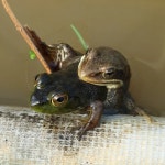 어린이 농장 숲 주말 체험 경기 수원 화성 동탄 유아 어린이 가족체험학습 by 물가풍경자연생태농원 : 아이고고