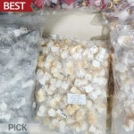 고양이 미니어처 4x3cm C0134 10종 선택 동물 피규어 인형 장식 소품 픽앤코401 : 픽앤코401
