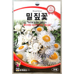 밀짚꽃 30립 26년 세계꽃씨앗 : 제일농약사