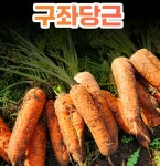 제주 구좌당근 3kg 갓 수확한 신선채소 산지직송(중) : 구루넷스토어