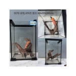 자연미 어항 C1537x16x33cm 20-30cm f192 : 삼화종합상사