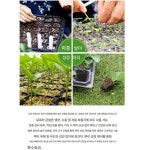 농업용 모종 트레이 플라스틱 육묘 포트 원예 삽목상자 씨앗 육성 상자 재배 용기 : 픽스온마켓
