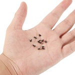 소형기기 노트북 수리 나사 전자 기기 수리 나사 볼트 부품 : 여름피서모자바지티셔츠