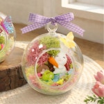 원예 치료 심리 안정 봄 숲 테라리움 키트 5set 취미개발 양손협응력 공예 : 라이프스캐너