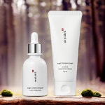본코리아 피부 회복 피부 진정제 피부 보습제 엔젤 비타민앰플 +엔젤 모이스처크림 세트 30ml 100ml 1세트 : 제이케이컴퍼니스토어