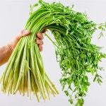 프리미엄 청도 미나리 200g 400g 1kg : 농수산114