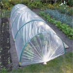 재단 농업 비닐 2Mx10M 텃밭 농사용 온실 주말농장 관리 비닐 투명 비닐 식물 성장 보온 자재 : 제네럴스토어2024